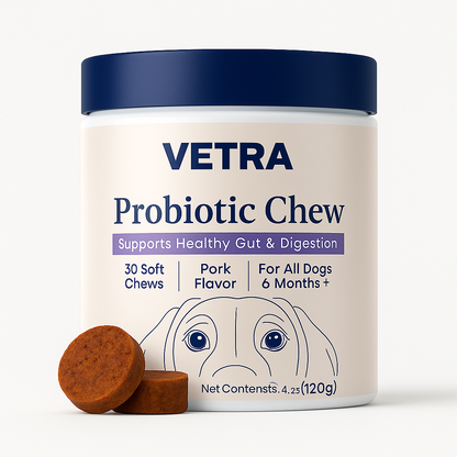 Vetra Gut Restore+